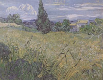 Vincent Van Gogh Green Wheat Field with Cypress (nn04)